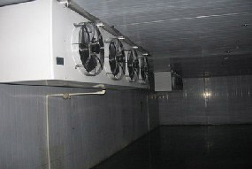 ������(k��)