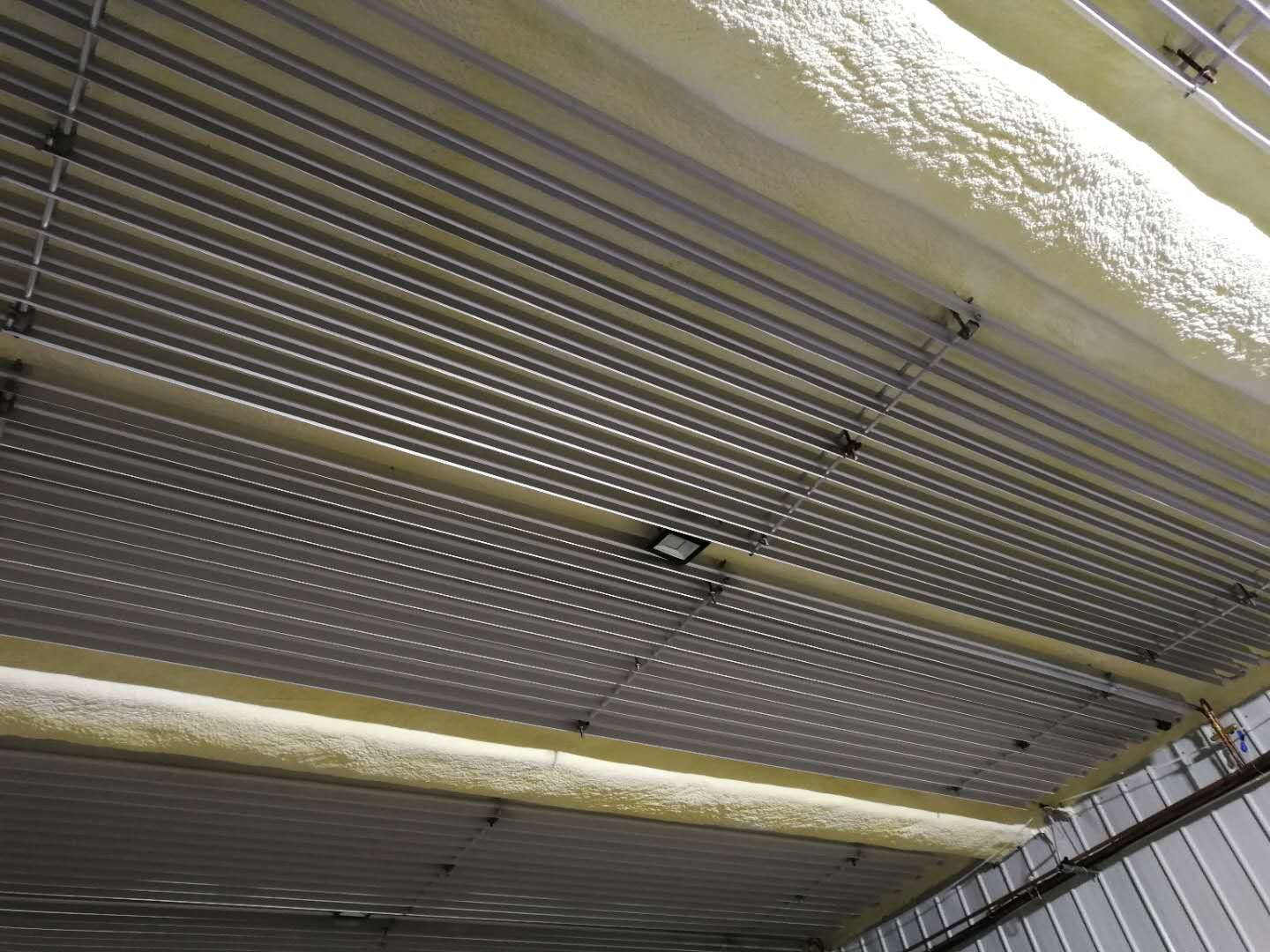 ��Ϳ�P�����