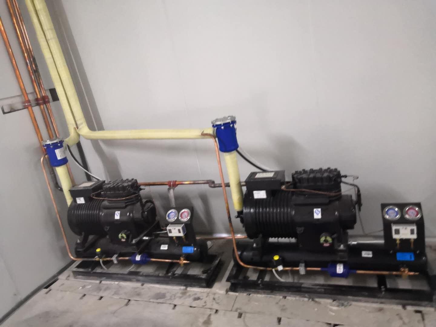 ���C�M������x