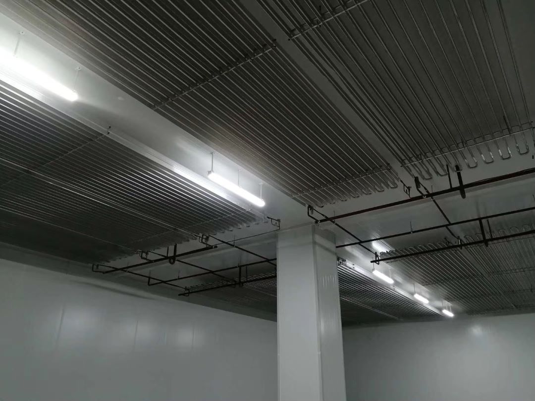 �����X��������