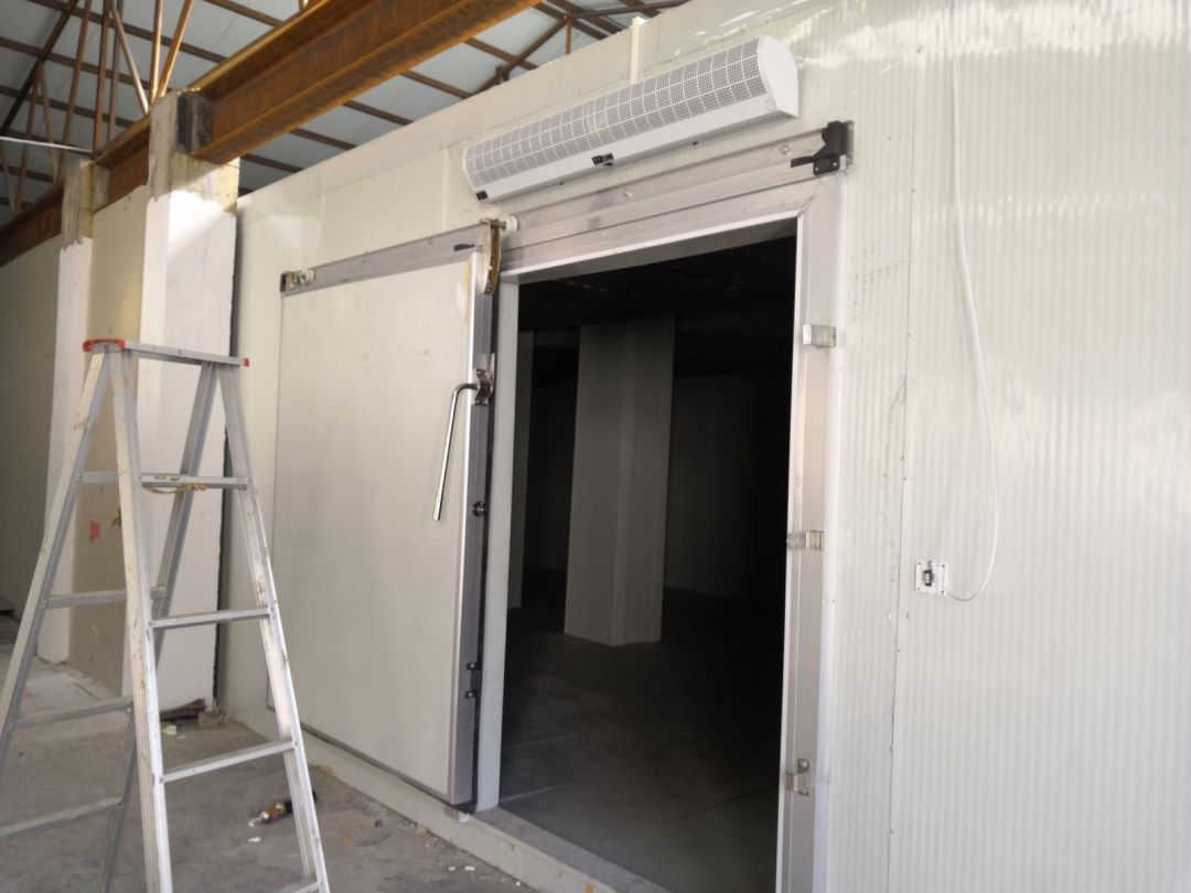 �X����� �����