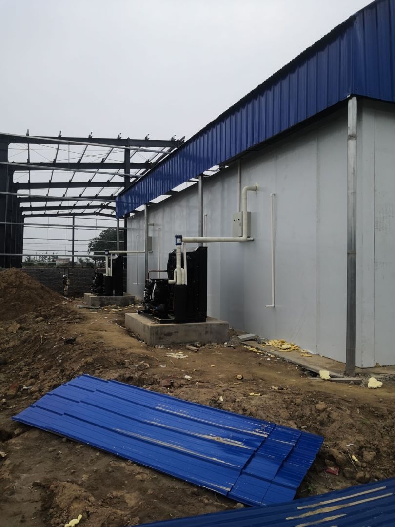 �������r��� 20ƥ�L(f��ng)������C(j��)�M