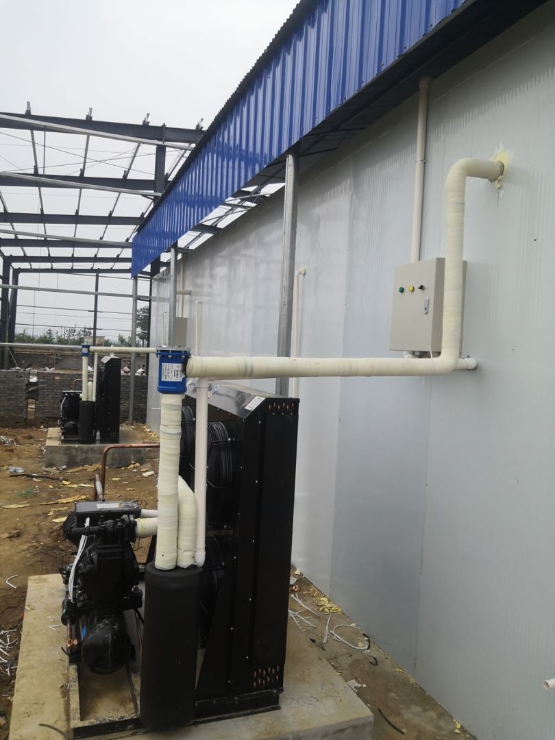 ��ꖹ�݆20ƥ����ʽ�L��C�M